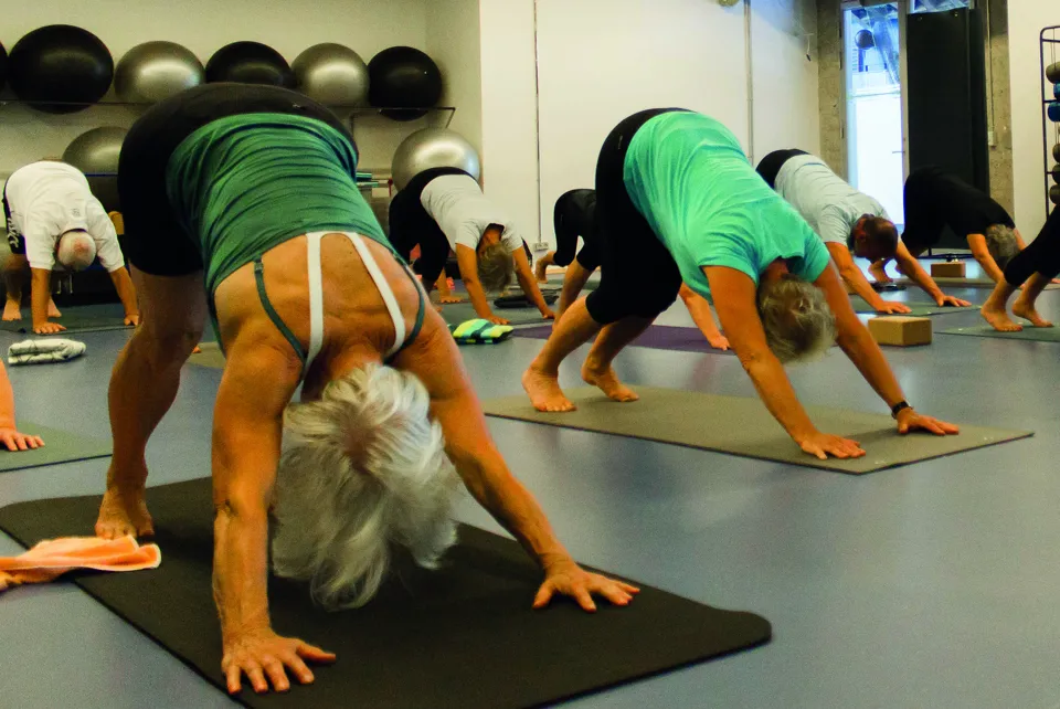 Yoga Optimized (1)